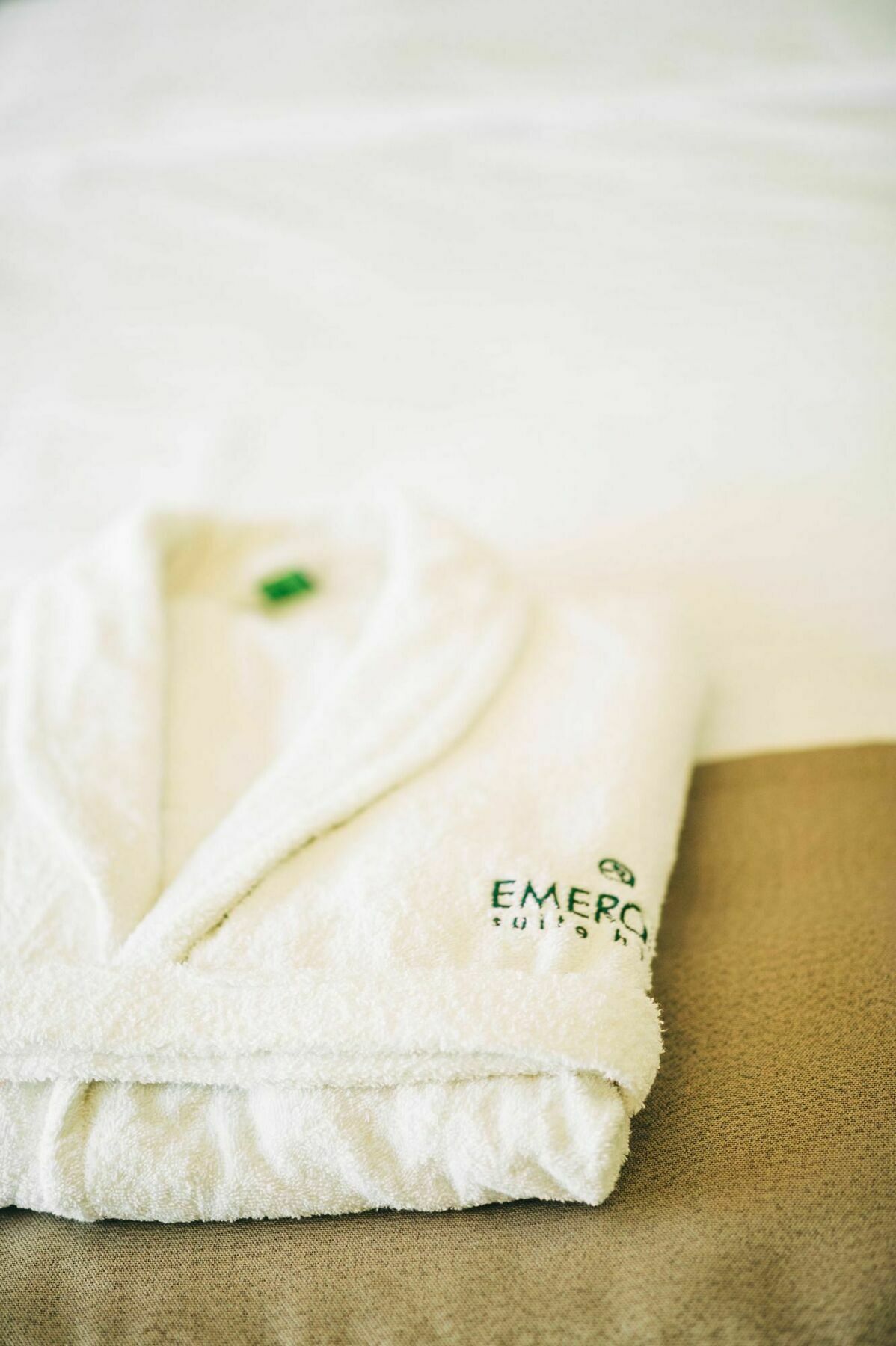 Emerald Suite Hotel Baku Extérieur photo